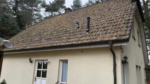 Czysty dach wolny od igliwia