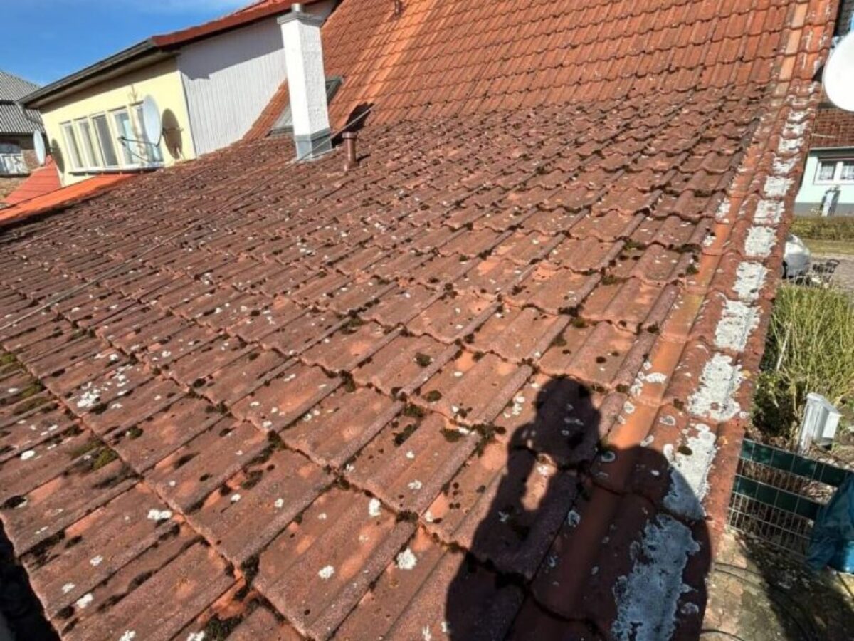 Przed czyszczeniem i impregnacją dachu w Süderholz