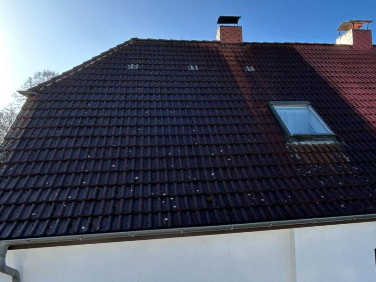 Przed czyszczeniem i impregnacją dachu w Süderholz