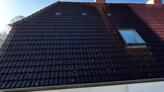 Süderholz czyszczenie dachu 