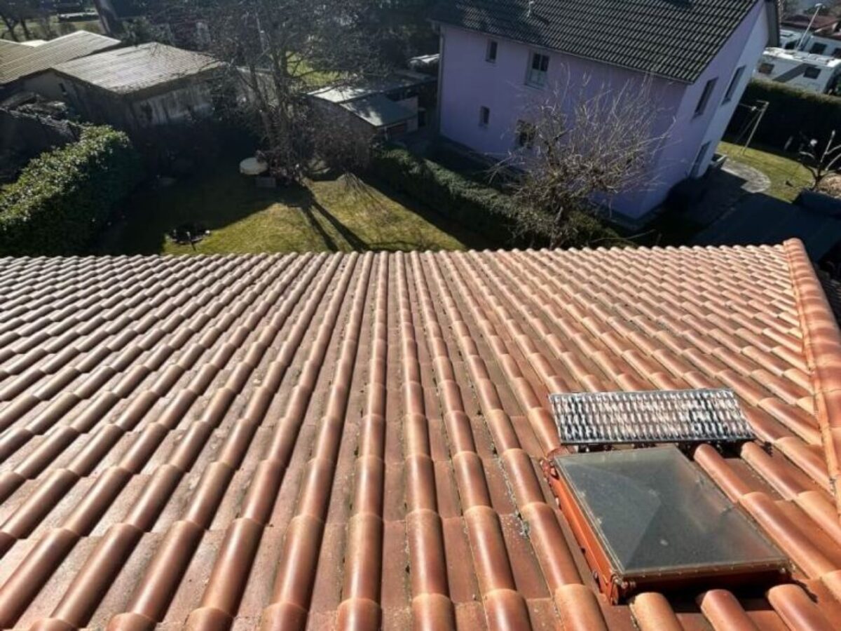 Przed czyszczeniem i impregnacją dachu Berlin