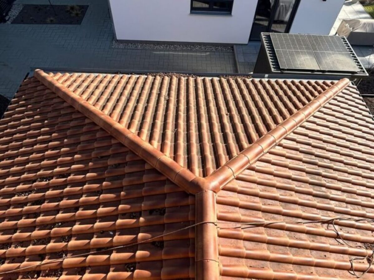 Przed czyszczeniem i impregnacją dachu Berlin 3 Przed czyszczeniem i impregnacją dachu - Berlin