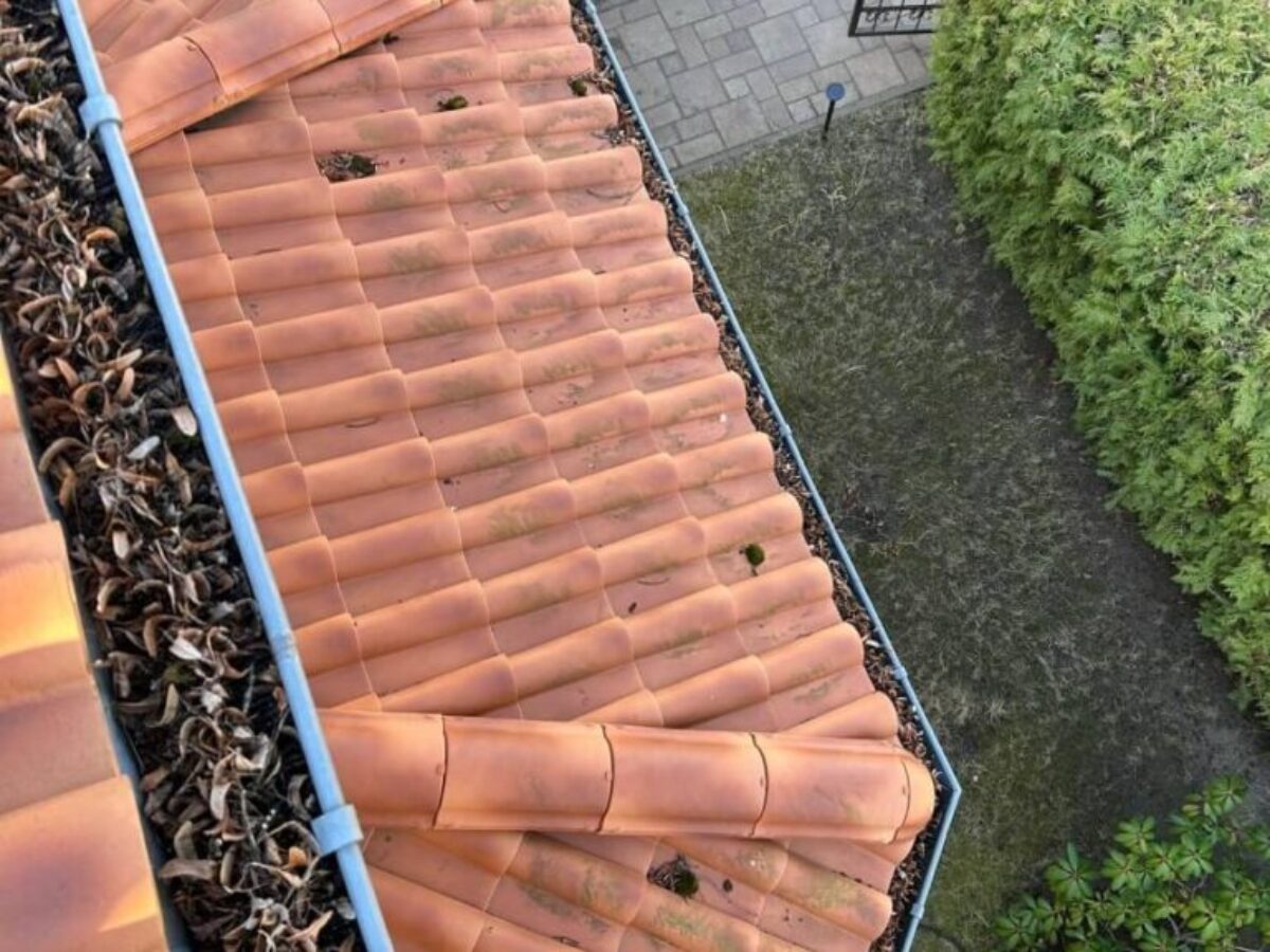 Przed czyszczeniem i impregnacją dachu - Berlin Przed czyszczeniem i impregnacją dachu - Berlin