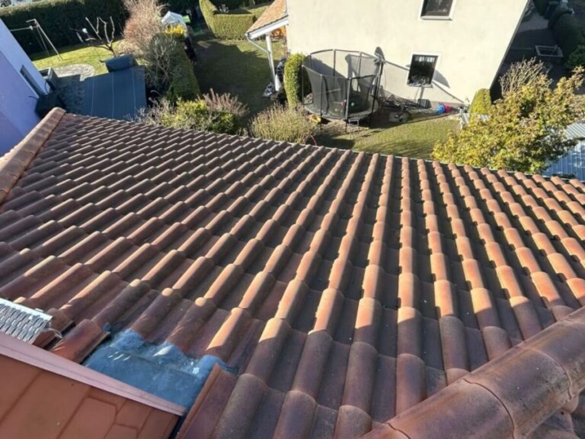 Przed czyszczeniem i impregnacją dachu - Berlin Przed czyszczeniem i impregnacją dachu - Berlin