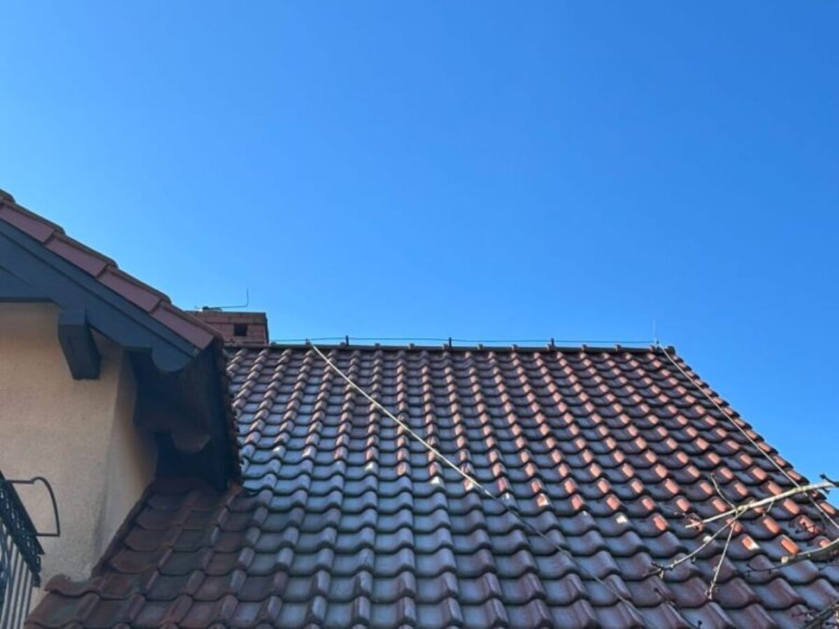 Przed myciem dachu - Krosno Odrzańskie