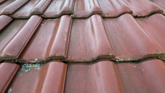 Mycie. impregnacja dachu Krosno Odrzańskie