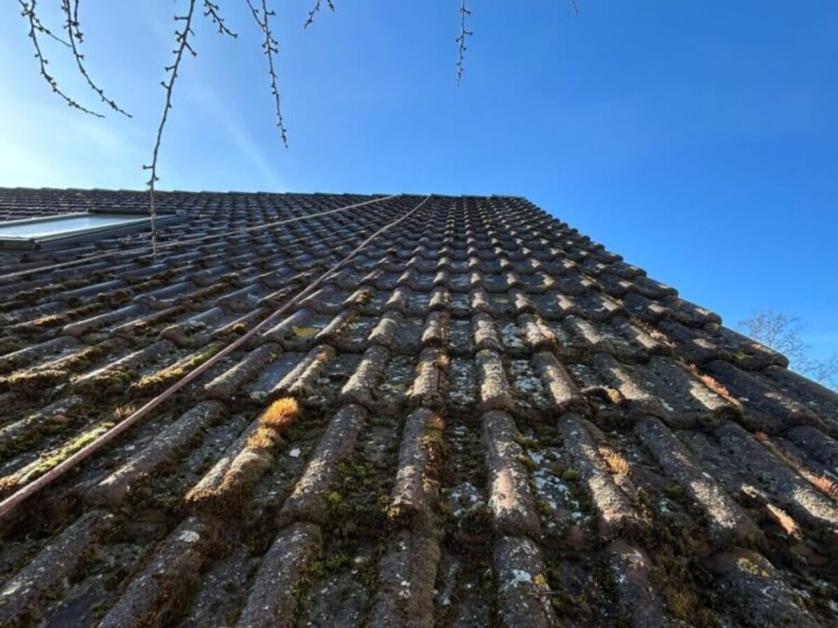 Przed myciem i impregnacją dachu - Berlin