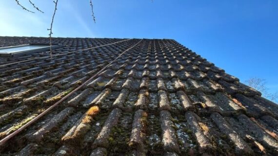Czyszczenie, impregnacja dachu w Berlinie
