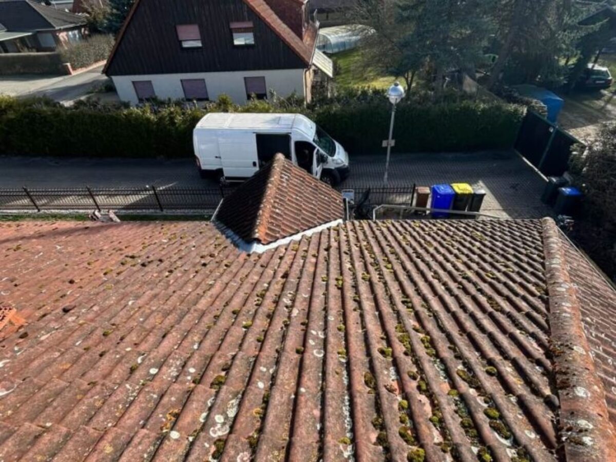 Przed myciem i impregnacją dachu Parey 2 Przed myciem i impregnacją dachu - Parey