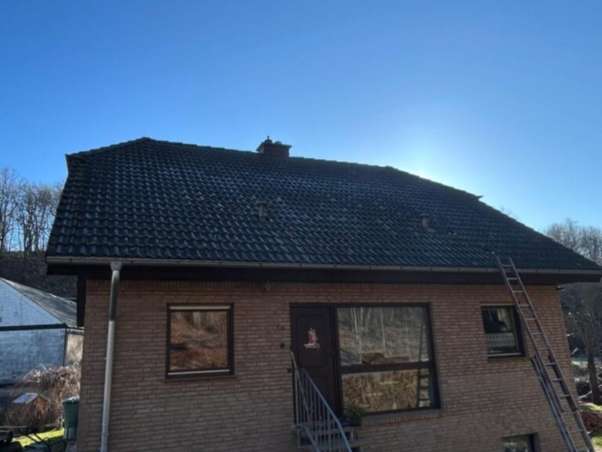 Przed myciem i impregnacją dachu w Hainichen