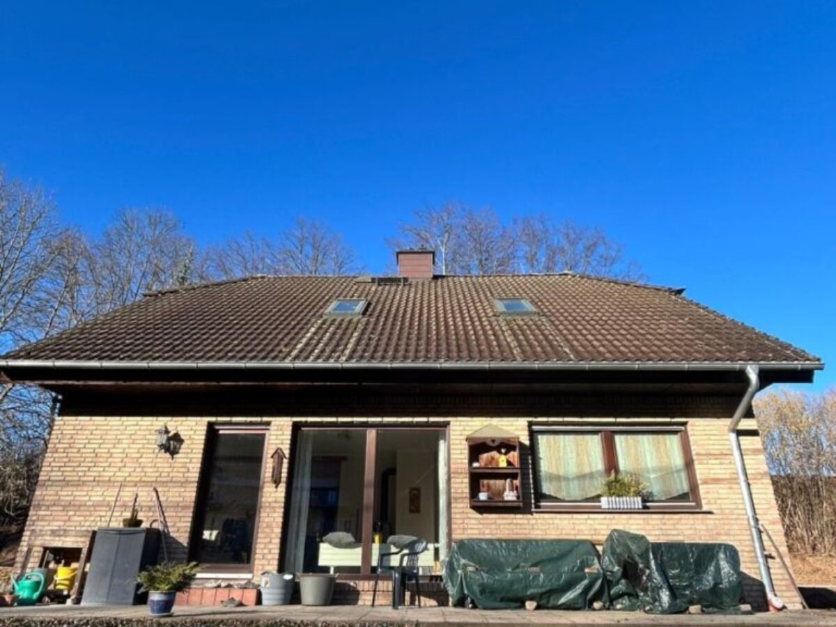 Przed myciem i impregnacją dachu w Hainichen