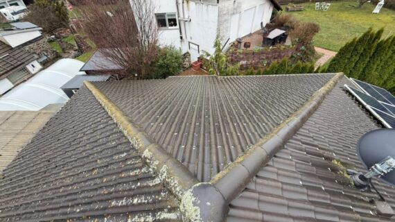 Czyszczenie i impregnacja dachu w Bennewitz